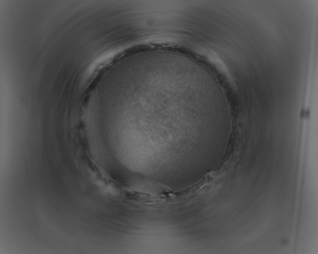 X0000094950920200712131619