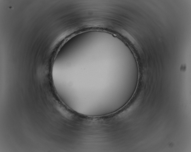 X0000094950922200712131619