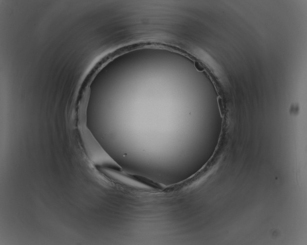 X0000094950924200712131619