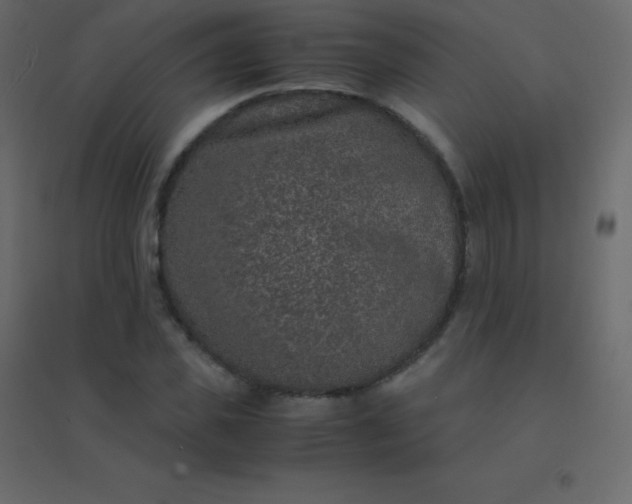 X0000094950925200712131619