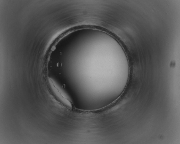 X0000094950926200712131619