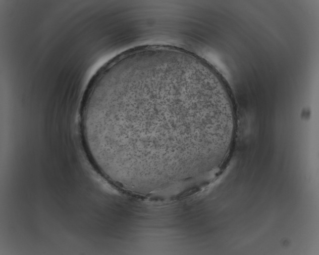 X0000094950928200712131619