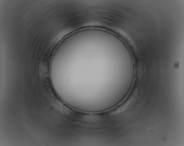 X0000094950929200712131619