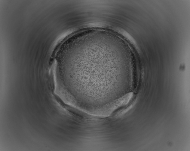 X0000094950930200712131619