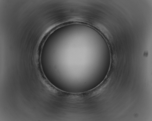 X0000094950931200712131619