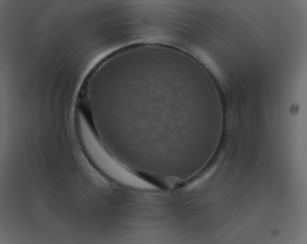 X0000094950932200712131619