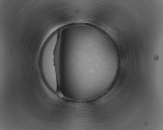 X0000094950934200712131619