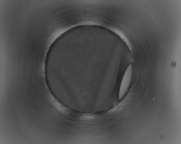 X0000094950935200712131619