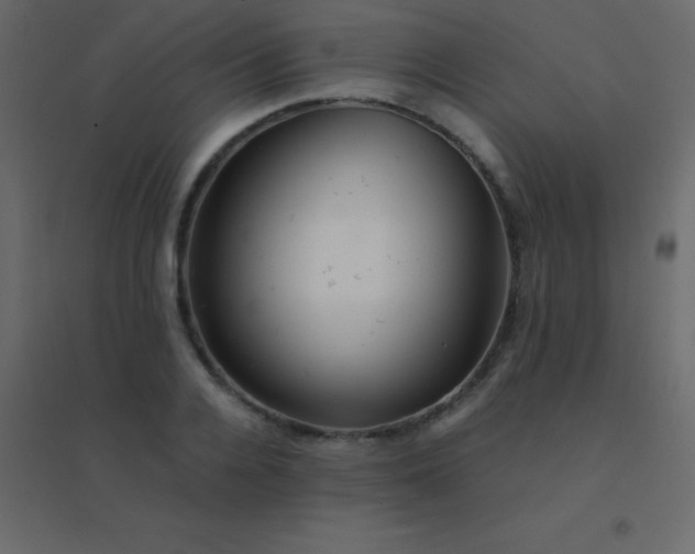 X0000094950936200712131619