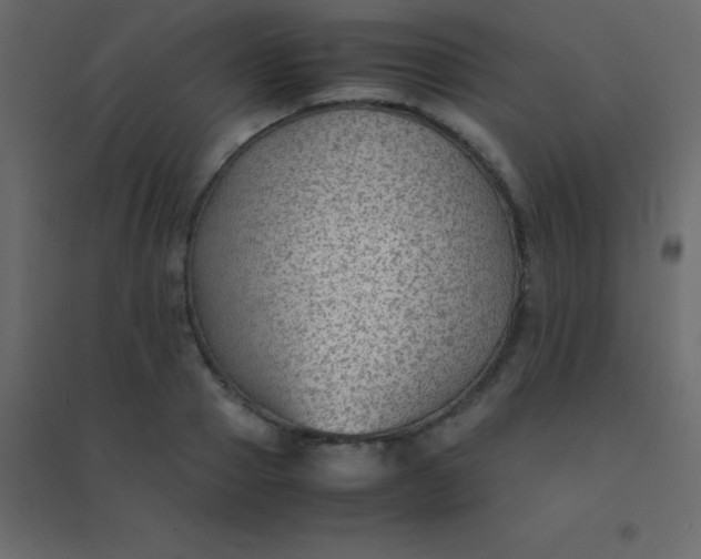 X0000094950937200712131619