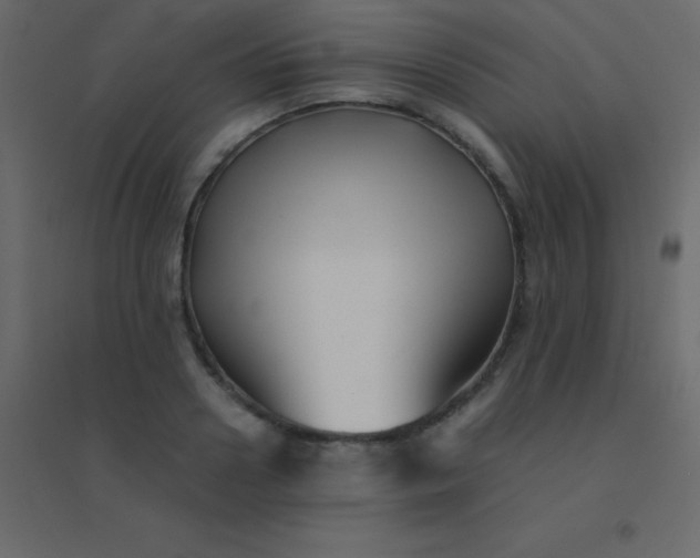 X0000094950938200712131619