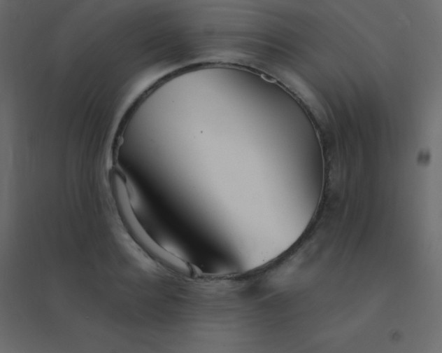 X0000094950940200712131619