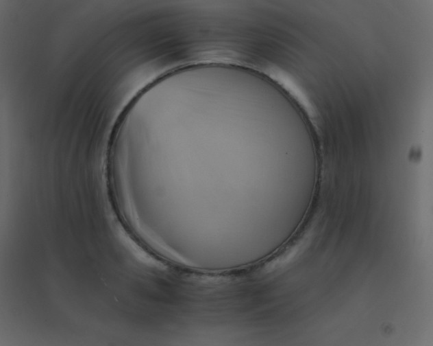 X0000094950941200712131619