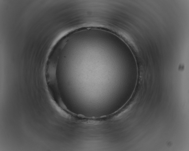 X0000094950942200712131619