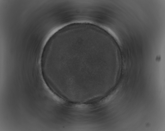 X0000094950943200712131619