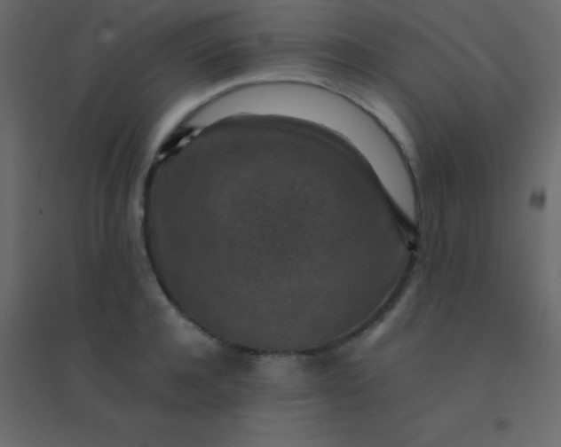 X0000094950944200712131619