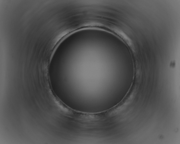 X0000094950945200712131619