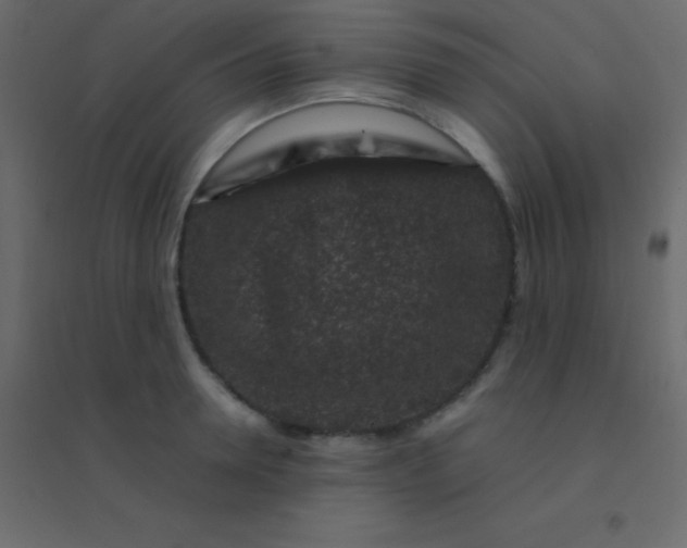 X0000094950946200712131619