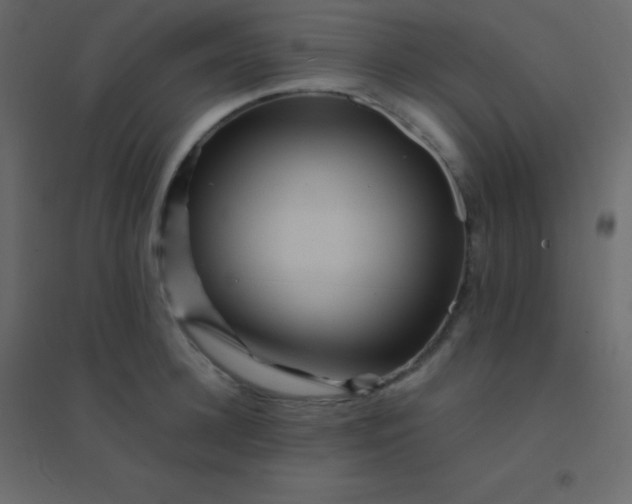 X0000094950948200712131619