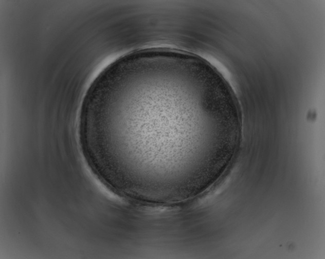 X0000094950949200712131619