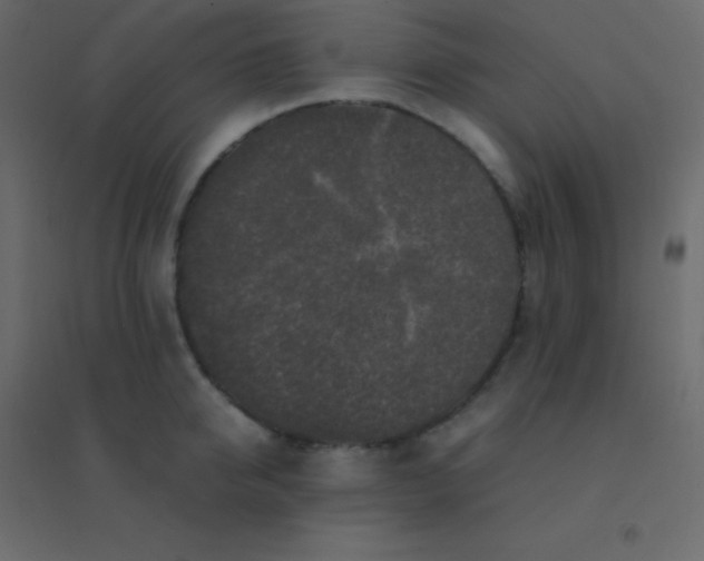 X0000094950950200712131619