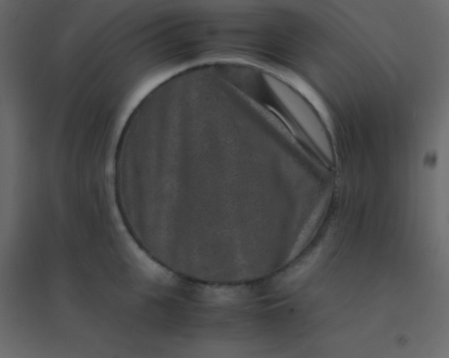 X0000094950951200712131619