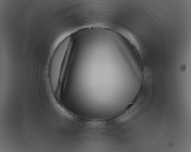 X0000094950952200712131619