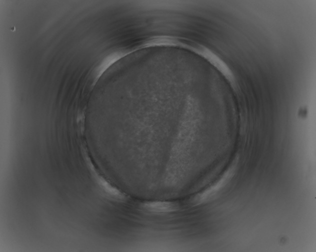 X0000094950953200712131619