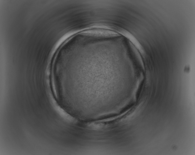 X0000094950955200712131619