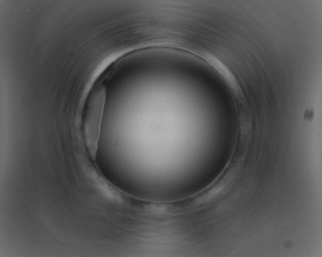 X0000094950956200712131619