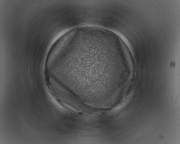 X0000094950957200712131619