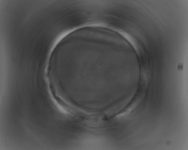 X0000094950959200712131619