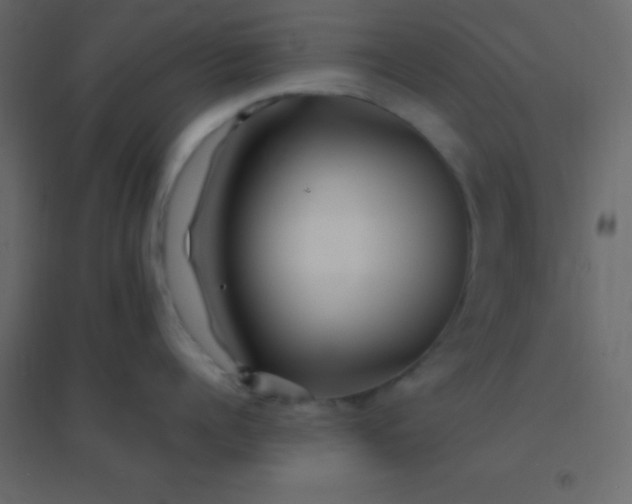 X0000094950960200712131619