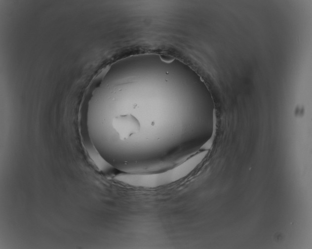 X0000094950961200712131619