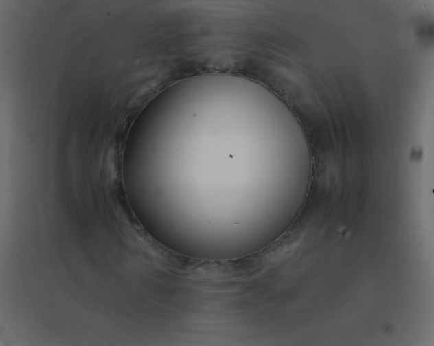 X0000094950962200712131619