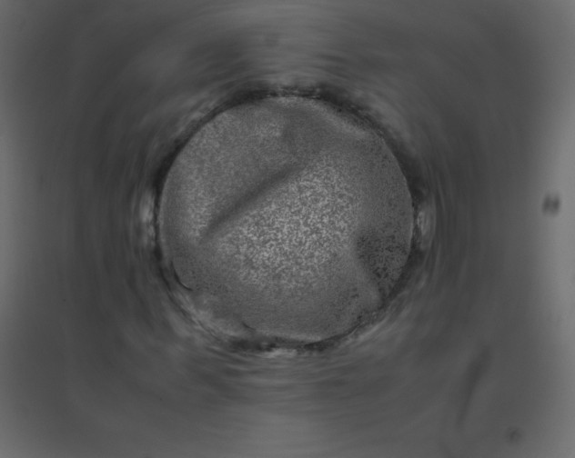 X0000094950963200712131619