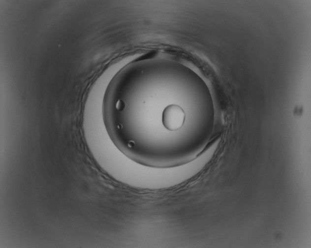 X0000094950965200712131619