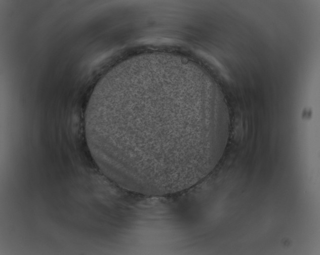 X0000094950966200712131619