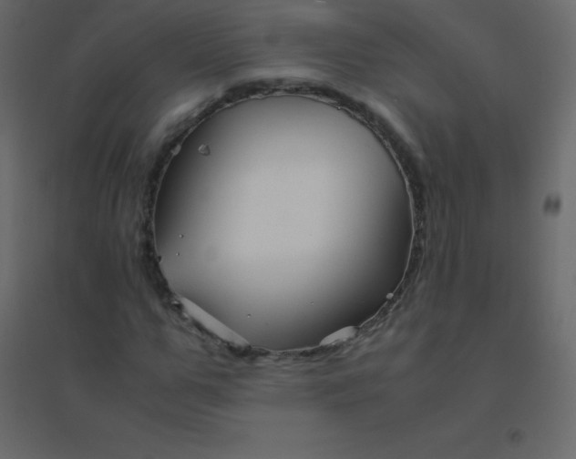 X0000094950967200712131618