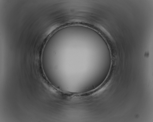 X0000094950969200712131618