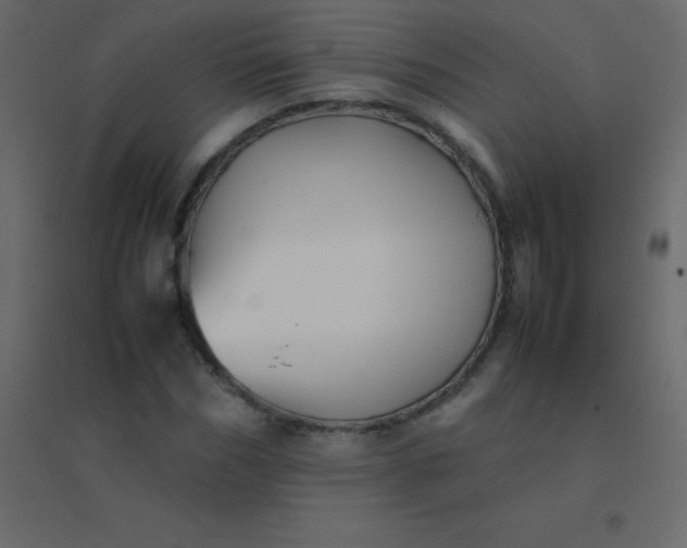 X0000094950970200712131618