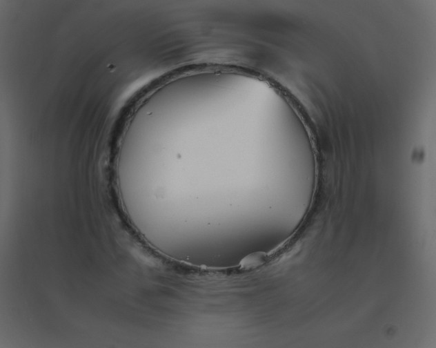 X0000094950971200712131618