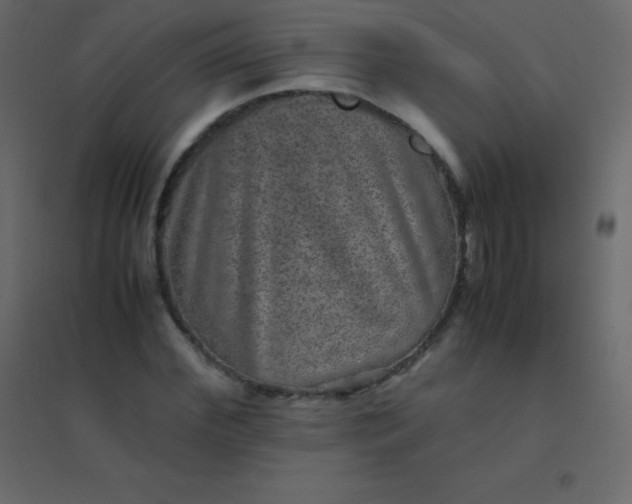 X0000094950972200712131618