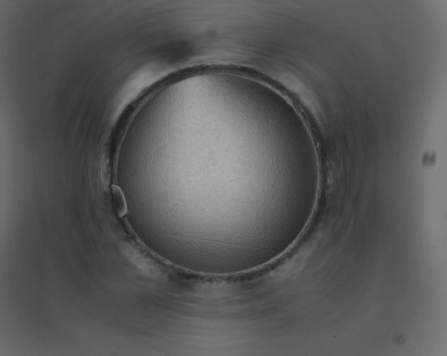 X0000094950973200712131618