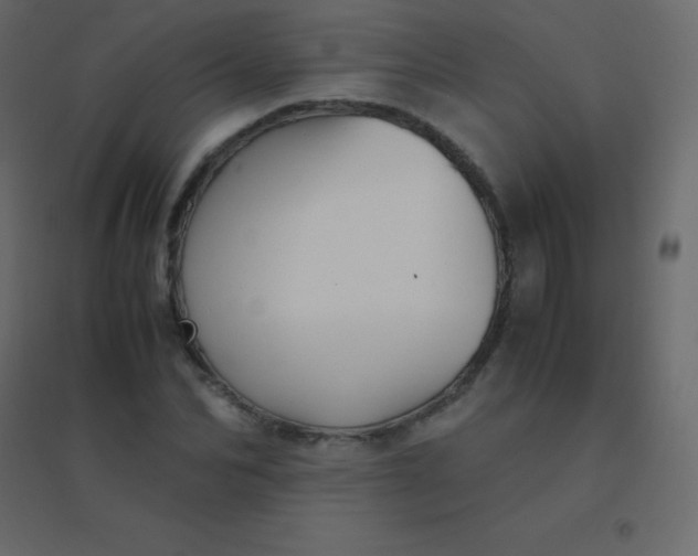 X0000094950974200712131618