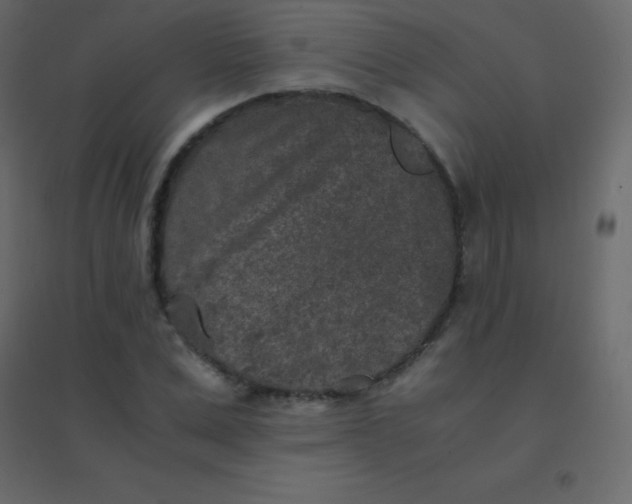 X0000094950975200712131618