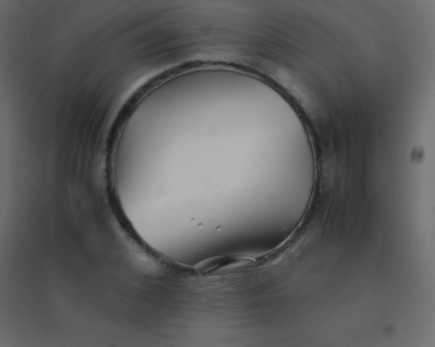 X0000094950976200712131618