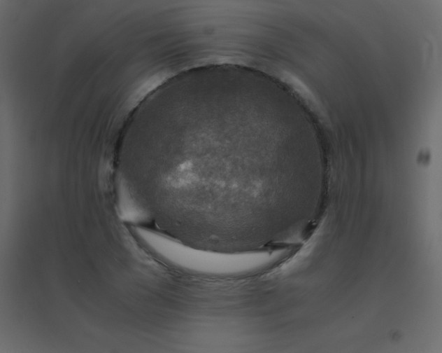 X0000094950977200712131618