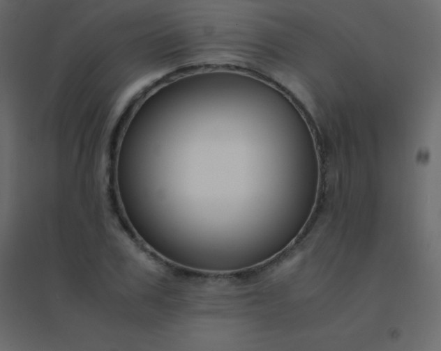 X0000094950979200712131618