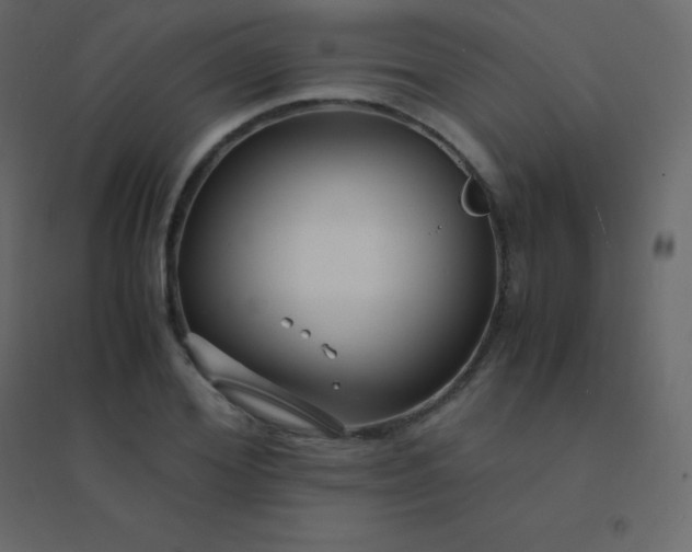 X0000094950980200712131618